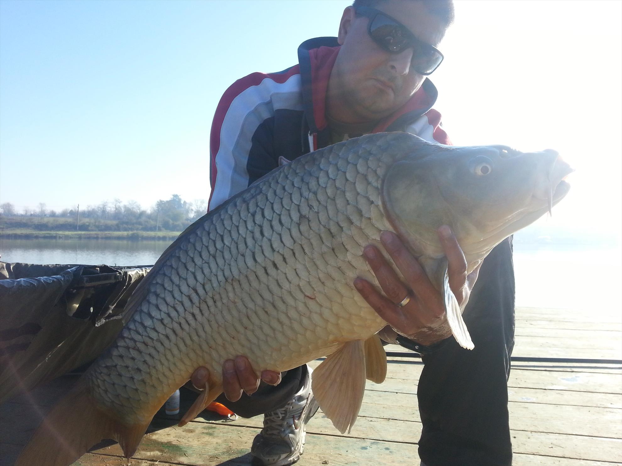 Moara Vlasiei 2 9 - 9 nov. - 20131109101242.jpg